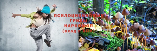 марихуана Абаза